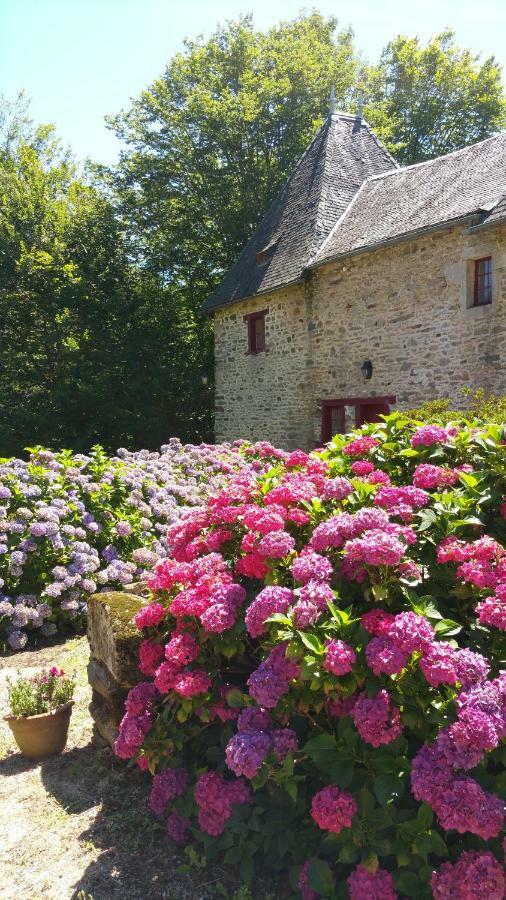Chateau De Bellefond Lagraulière Zewnętrze zdjęcie